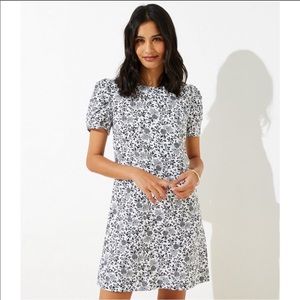 NWT Loft Black & White Ruched Sleeve Dress 12